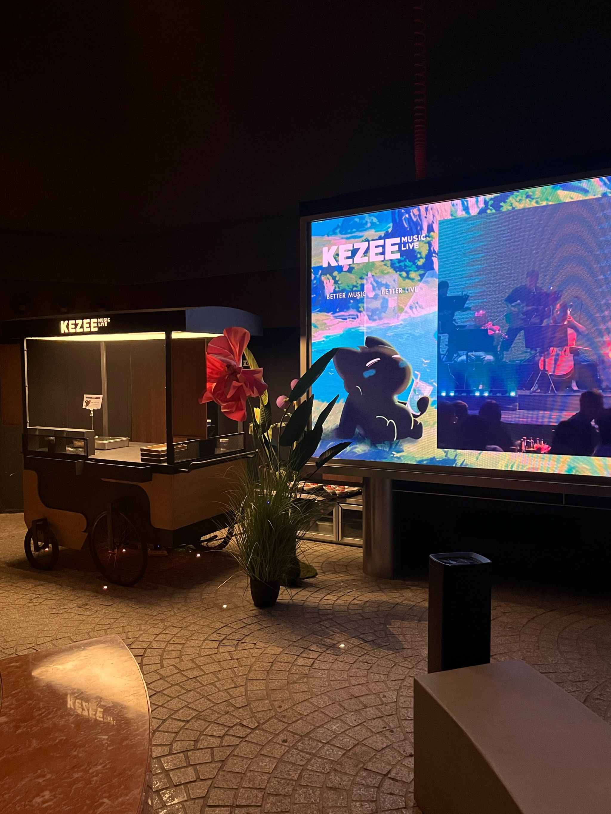 泉州商务ktv及商务ktv什么意思解析-德化县ktv预订